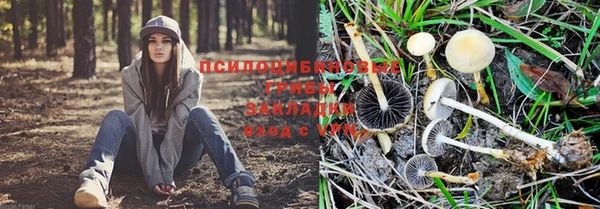 кокаин колумбия Вязьма