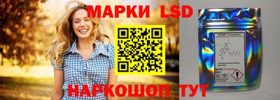 гидропоника Берёзовский