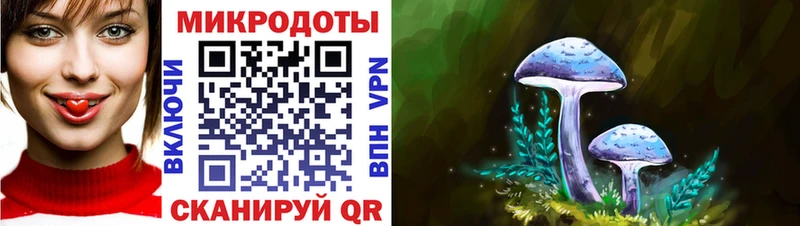 ссылка на мегу как войти  купить наркотик  Гусь-Хрустальный  Галлюциногенные грибы мухоморы 