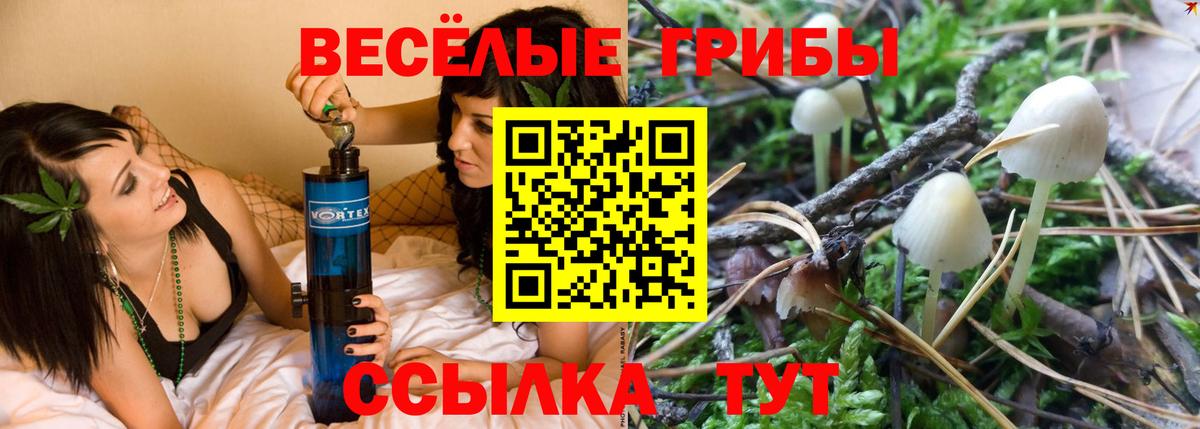 Галлюциногенные грибы мухоморы Гусь-Хрустальный