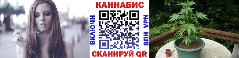 Шишки марихуана ГИДРОПОН  Гусь-Хрустальный 